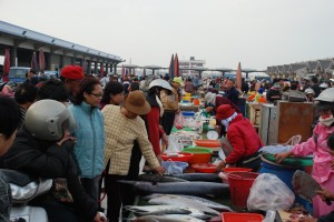 澎湖漁市豐富的海鮮，圖由主婦聯盟合作社提供