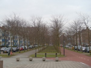 自行搭火車前往Rijswik的移民局註冊，圖為車站外附近公寓的公共綠地。並排樹木與陽光灑落非常迷人。Photo by 黃淑怡