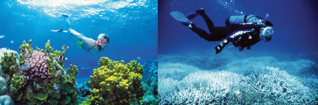 大堡礁是澳洲東北昆士蘭州外世界最大最長的珊瑚礁群，2002和2014年的對照圖。圖片來源U.S Uncut