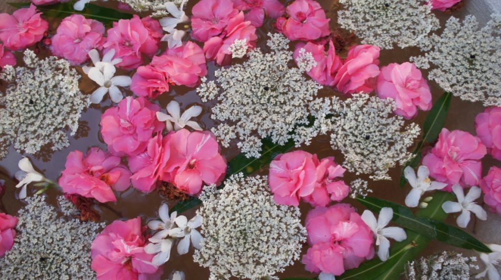 每日我們取用島上新鮮的花朵排成曼達拉。林念慈提供