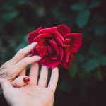 建立社會安全網,保障老年生活不虞匱乏。photo credit:unsplash@Jake Thacker
