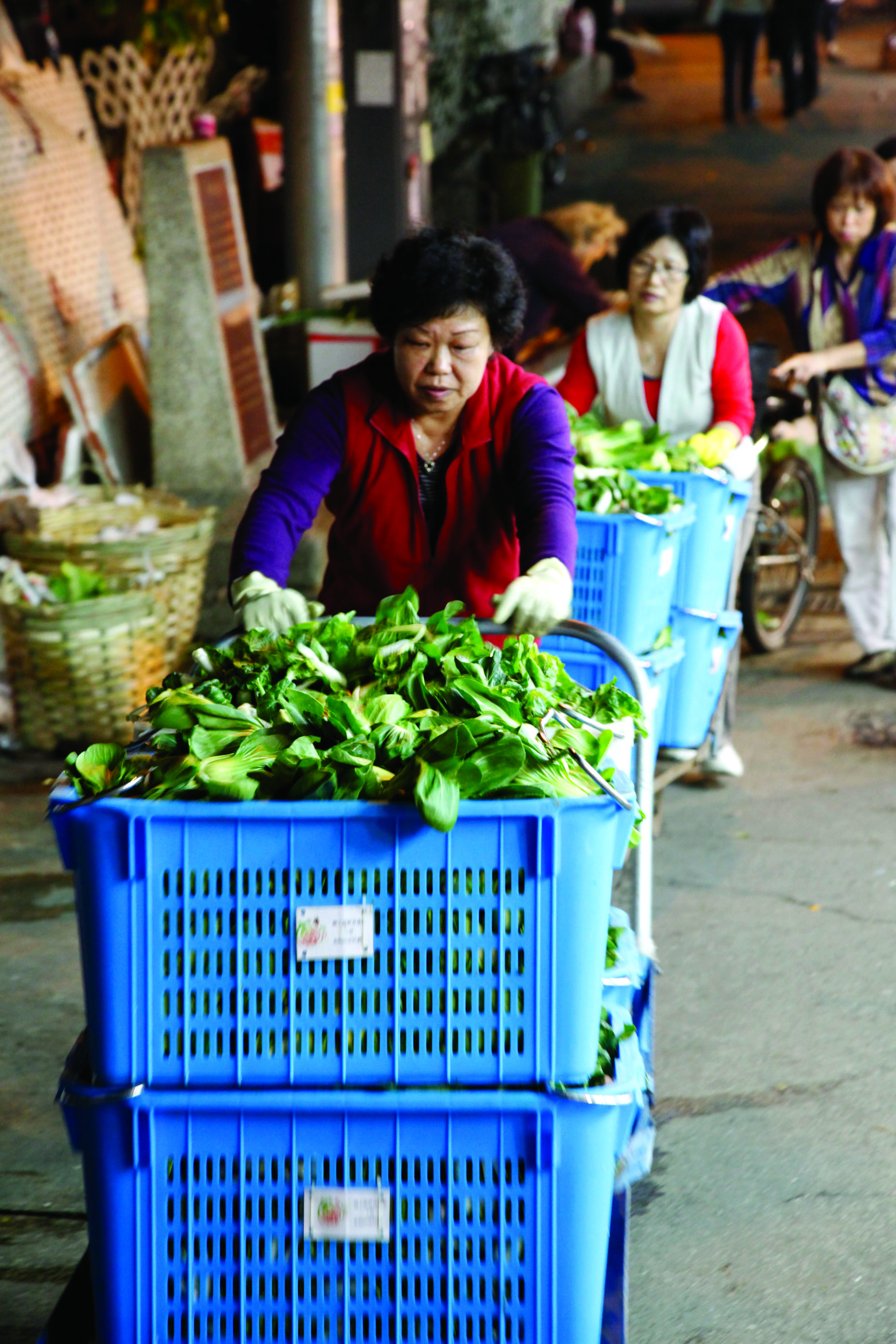 香港食德好的工作人員們推著20個大籃子到露天市集撿剩菜，不到一小時，幾乎全都滿籃了。